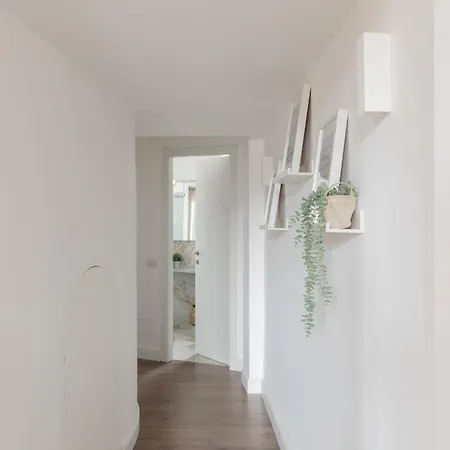 Iflat Magnificent Roma